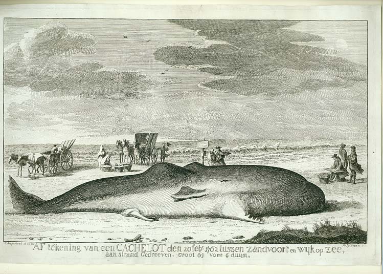 HENDRIK SPILMAN 1721 Amsterdam - 1784 Haarlem